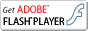 Download the Adobe Flash Player free