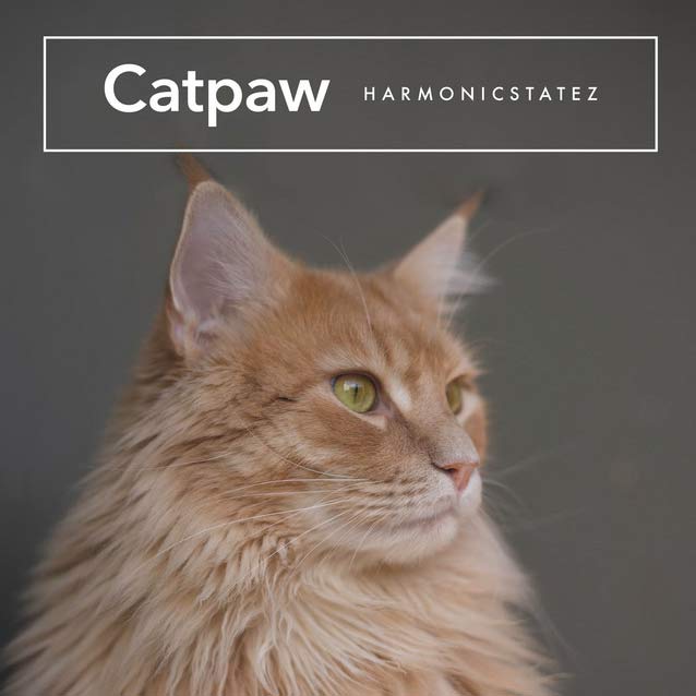 Catpaw
