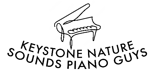 Keystone Nature Sounds Piano Guys
